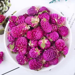 Trà hoa bách nhật - Thảo Dược Tấn Phát