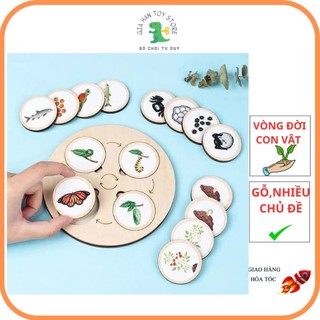 Bộ đồ chơi montessori vòng sinh trưởng xếp hình vòng đời của động vật và thực vật bằng gỗ cho bé