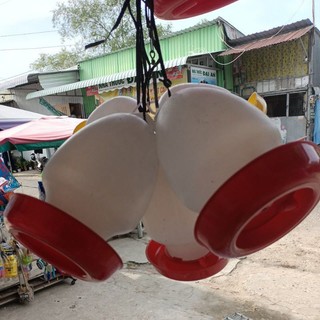 bình uống nước cho gà, vịt
