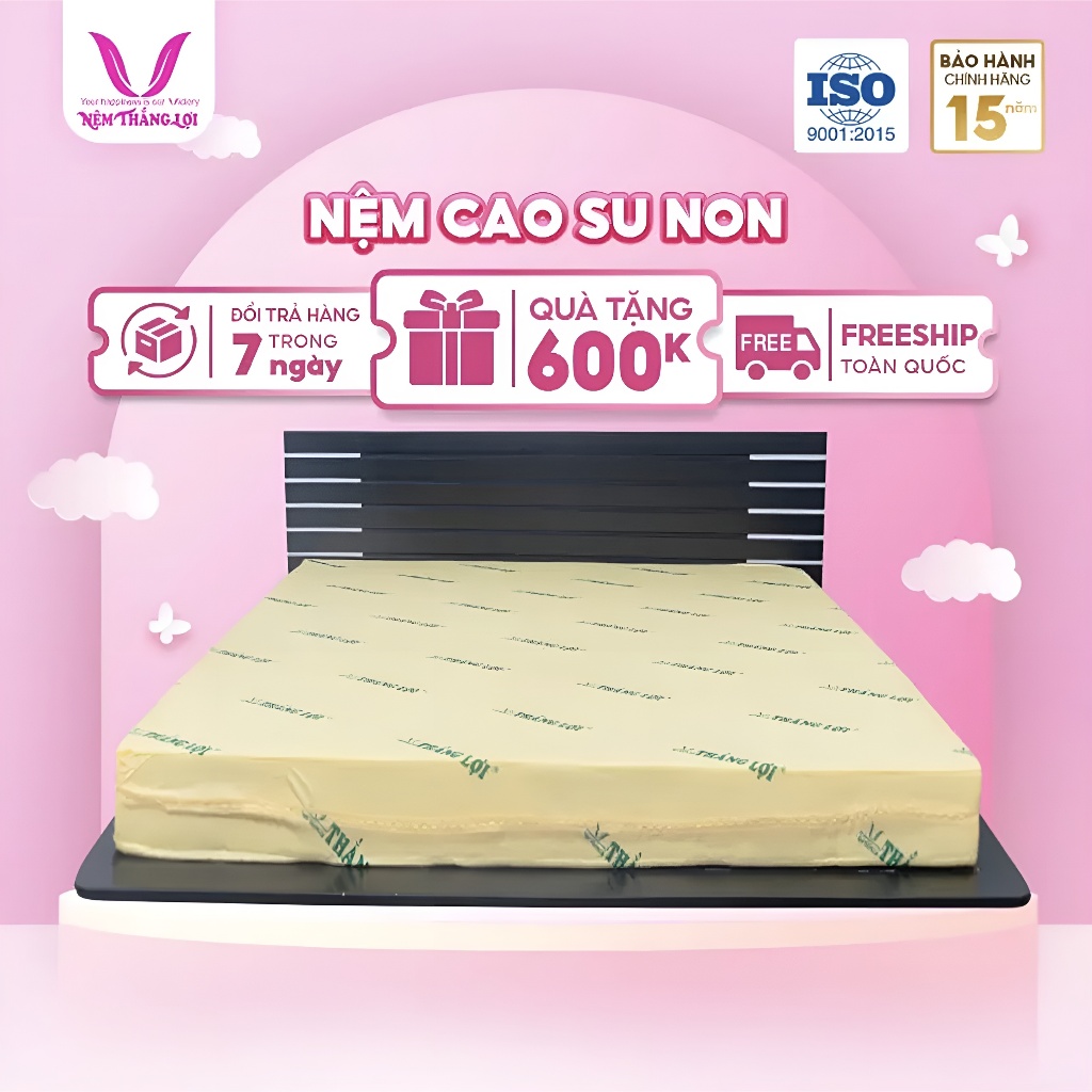 NỆM CAO SU NON THẮNG LỢI 10 PHÂN: 1M8 X 2M