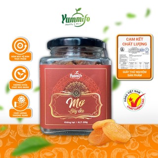 Mơ sấy dẻo không không hạt Yummifo hộp vuông vị chua ngọt hỗ trợ làn da mềm mịn cải thiện thị lực cơ bắp 230g