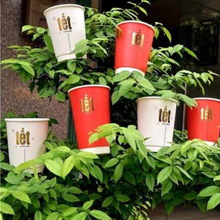 50 Ly giấy cafe 2 lớp, tết 12oz(360ml),16oz (520ml) dùng một lần ~ 360ml giữ nhiệt, chống thấm cao cấp