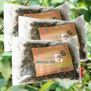 Combo 3kg Cà gai leo khô loại 1