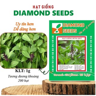 Hạt giống Húng Quế trồng quanh năm, thu hoạch nhiều lần, trồng quanh năm Hạt Giống Rau Thơm Hành Lá Rau Diếp