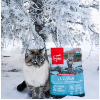 Thức ăn mèo ORIJEN SIX FISH [Bao nguyên seal 1.8kg]