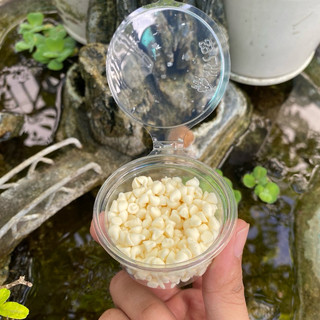 Phomai Sữa Viên Dành Cho Hamster