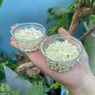 Phomai Sữa Viên Dành Cho Hamster