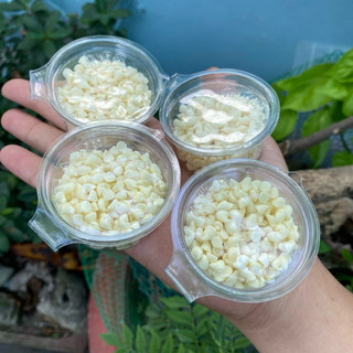 Phomai Sữa Viên Dành Cho Hamster