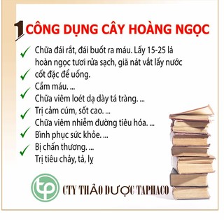 [Túi Lớn 500gram] Lá hoàn ngọc khô - Tấn Phát - Trà thơm sạch tốt cho cơ thể