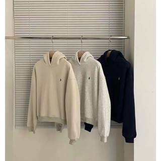 Áo nỉ hoodie polo xuất Hàn XHM 1217 (chuẩn hãng)