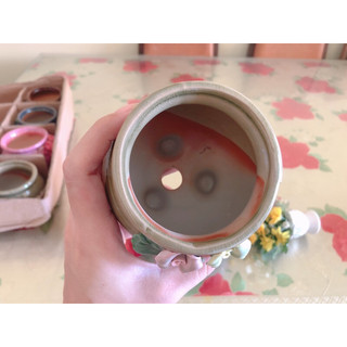 chậu trồng sen đá
