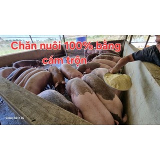 Men ủ đạm cá, đạm động thực vật (0,5 kg Vem gốc bột BIO PHƯƠNG NAM + 0,5 kg Enzyme Protease)