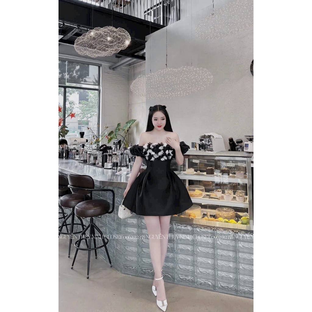 Đâm dự tiệt siêu xinh DS