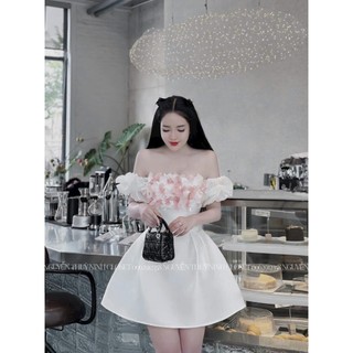 Đâm dự tiệt siêu xinh DS