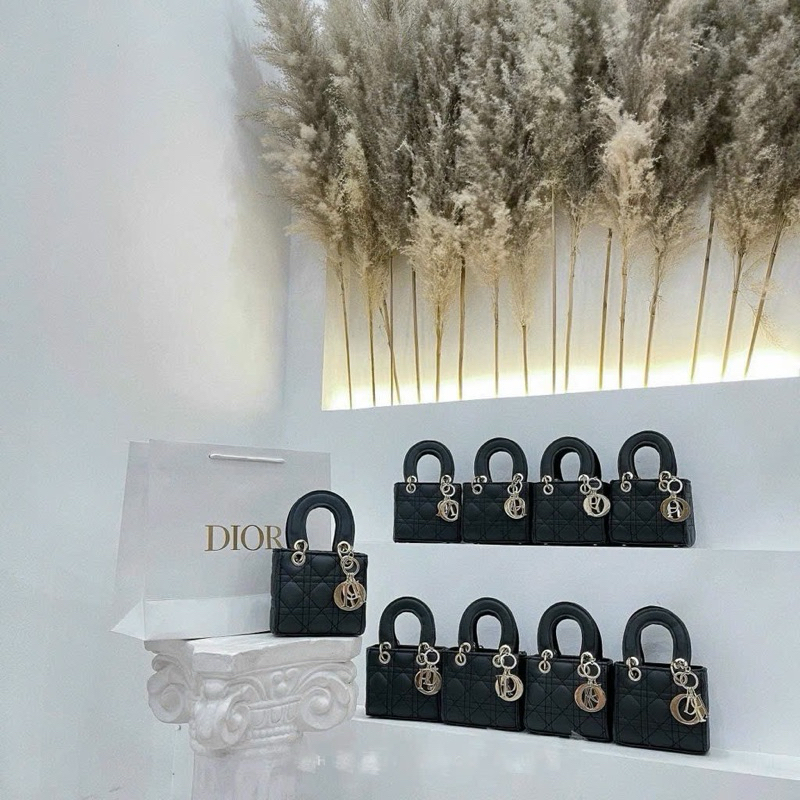 Túi la dy di ô mini cầm tay ,đeo chéo sz 12 xinh lắm ạ