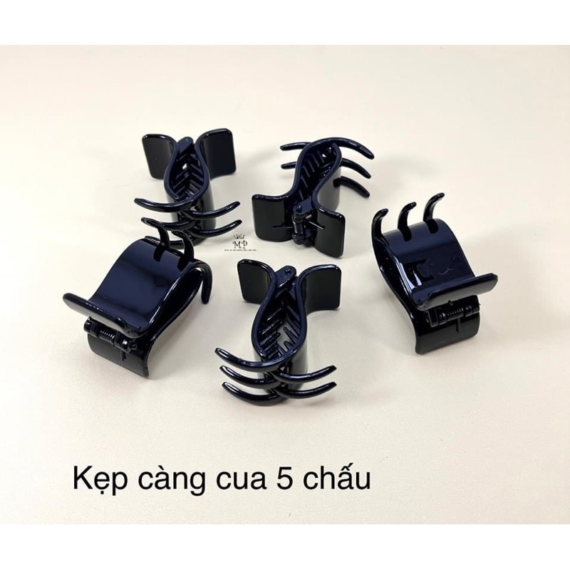 kẹp 5 chấu , 3 chấu kẹp tóc (kẹp càng cua)