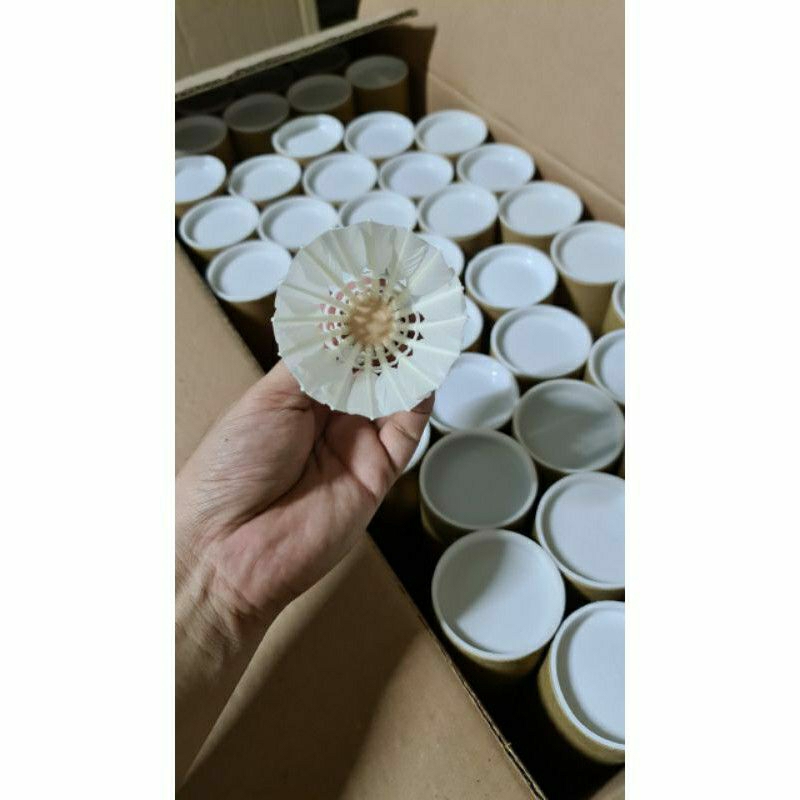 BÌNH TÂN SHOP 👑 Đồ chơi thể thao - 2 trái cầu lông dùng đánh cầu lông