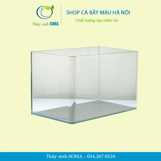 Bể kính đúc 35-40cm | bể cá mini | bể cá văn phòng