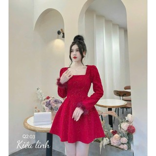 Đâm dạ hội tay dài DS