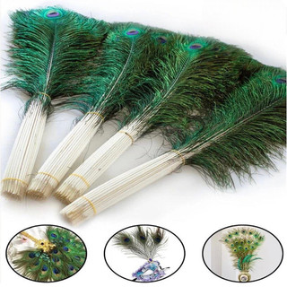 Lông công phong thuỷ, trang trí nhà cửa , dài 90-100cm, Mắt to 4-6cm, nhập khẩu Ấn Độ