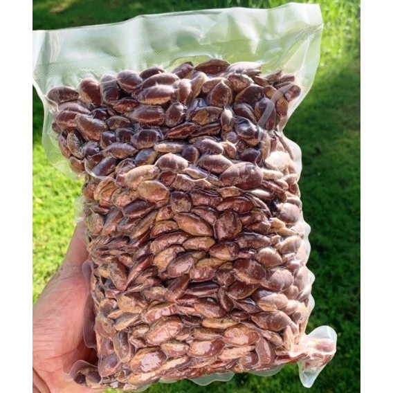 Hạt kơ nia  hút chân không