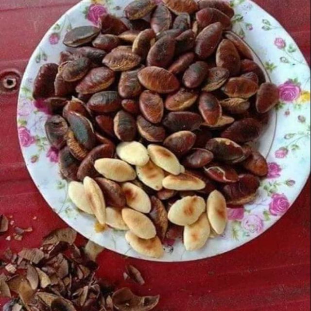 Hạt kơ nia  hút chân không