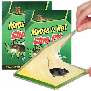 Tấm keo dính chuột mouse rat - tấm keo bẫy chuột siêu dính tiện lợi
