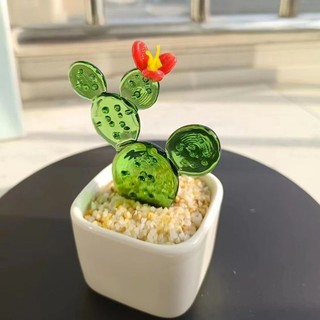 🌵 Xương Rồng Thuỷ Tinh 🌵