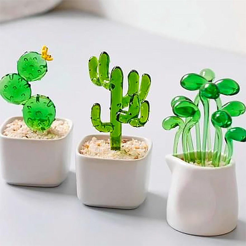 🌵 Xương Rồng Thuỷ Tinh 🌵