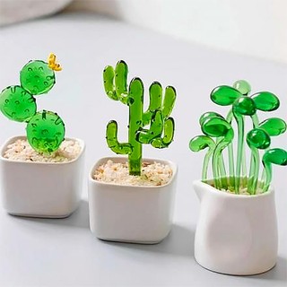 🌵 xương rồng thuỷ tinh 🌵