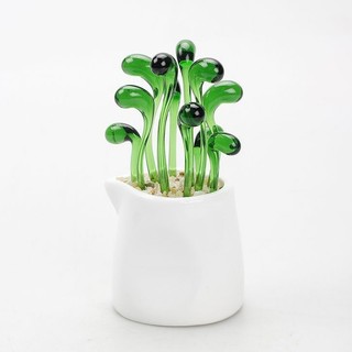 🌵 Xương Rồng Thuỷ Tinh 🌵