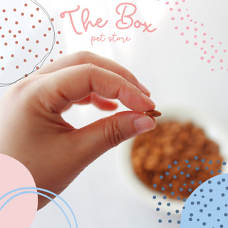 [400G - 2KG] Hạt Natural Core BENE C1 Kitten