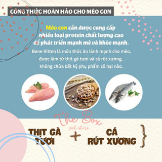 [400G - 2KG] Hạt Natural Core BENE C1 Kitten