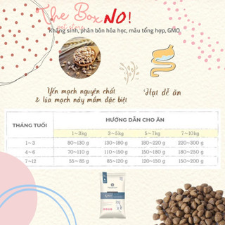 [400G - 2KG] Hạt Natural Core BENE C1 Kitten
