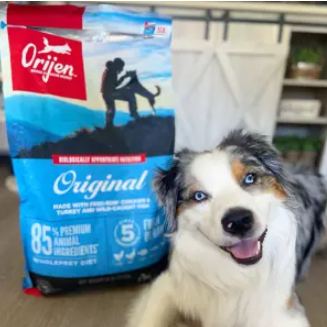 [nguyên seal 11.4kg] ORIJEN ORIGINAL Thức ăn chó