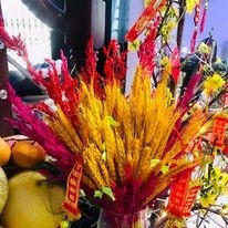 Bó 100 Bông Lúa Mạch, Hoa Lúa Mạch Vàng,Lúa Mạch Decor Trang Trí Chụp Ảnh