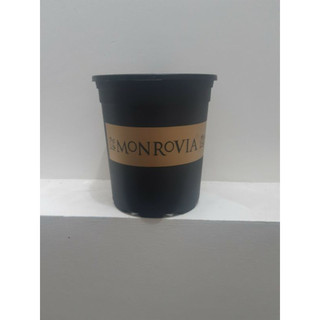 Chậu trồng cây Monrovia 1gl