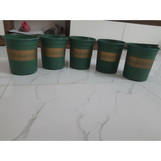 Chậu trồng cây Monrovia 1gl