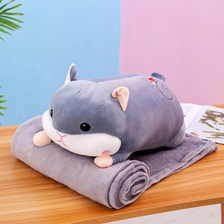 Gối mền 2in1 chuột hamster má xoắn 50cm vải miniso mềm mịn, mền 1m x 1.7m