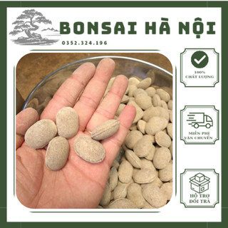 Phân tan chậm hạt bàng 12-6-6