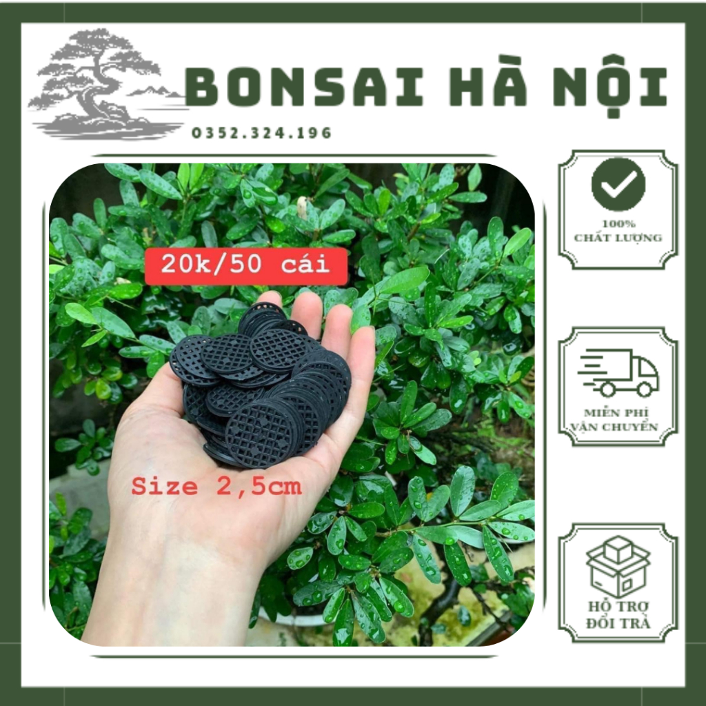 Combo 50 lót chậu 2,5cm