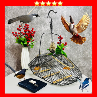 Lồng Lớn Bẫy Chào Mào, Chòe Than, Chòe Lửa, Hoành Hoạch, Khướu ( Sơn Đen)