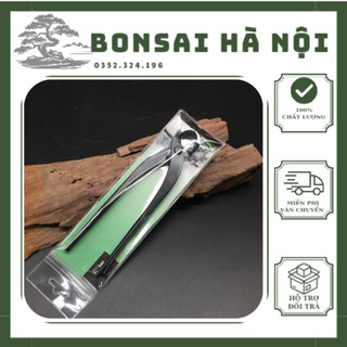 Cạp tròn cây cảnh bonsai hàng công ty MST