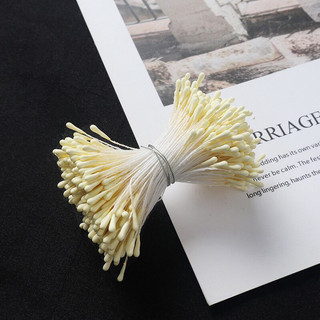 Nhuỵ hoa giả - handmade