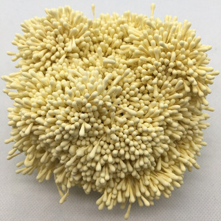 Nhuỵ hoa giả - handmade