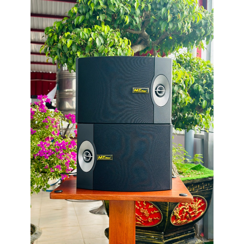 Loa Karaoke 301 Seri V - Mẫu Nâng Cấp Sang Trọng, Bass Căng Ấm, Âm Thanh Nét Công Suất Lớn Độ Nhạy Cao