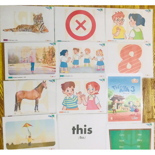 Sỉ Flashcard Global 3 ép plastic 2 mặt a5