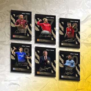 Thẻ cầu thủ bóng đá SKY HALL OF FAME - Beckham Rooney Lampard Gerrard Vieira Henry Bergkamp Cantona Keane Sir Alex