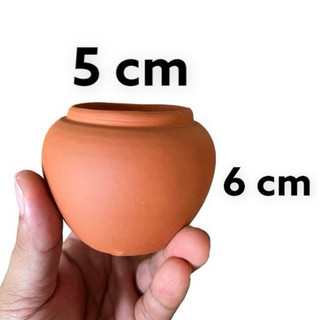Chậu đất nung chum mini 5x6cm