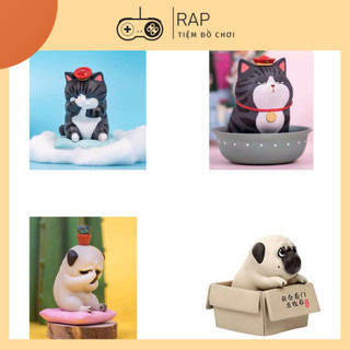 Set 5 mô hình chó pug mèo hoàng thượng biểu cảm bất lực đứng ị trong chậu trong hộp kèm phụ kiện để bàn dễ thương